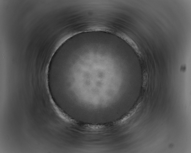 X0000100761039200806191203