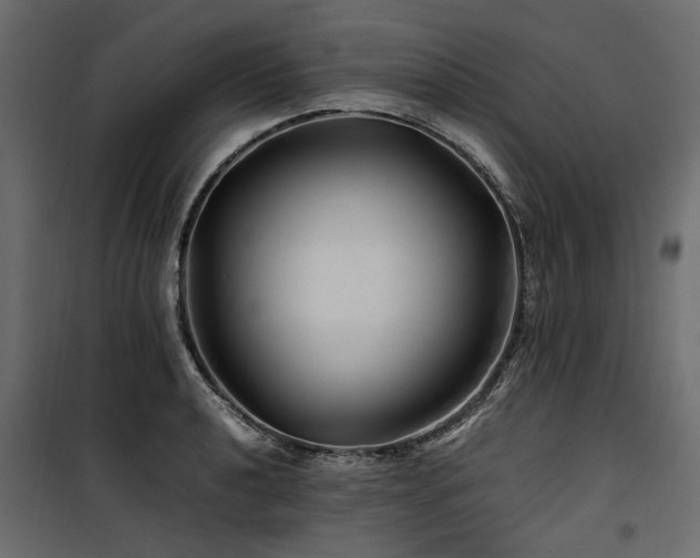 X0000100761040200806191203