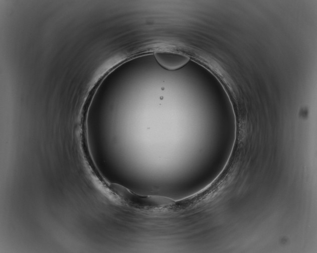 X0000100761042200806191203