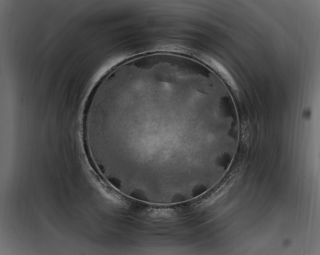 X0000100761043200806191203