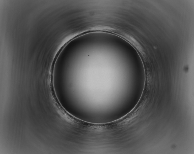 X0000100761044200806191203