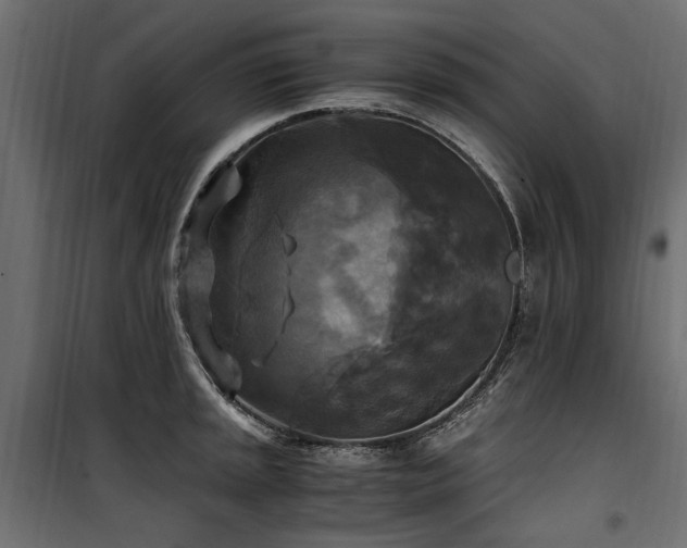 X0000100761045200806191203