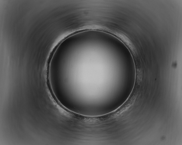 X0000100761046200806191203