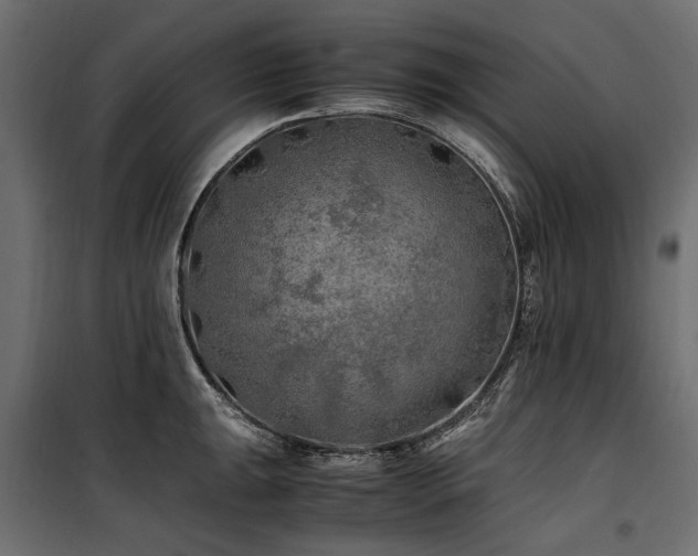 X0000100761047200806191203