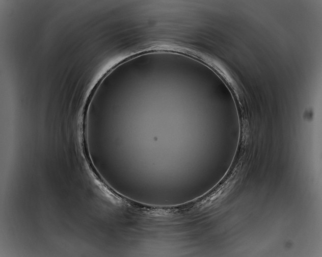 X0000100761048200806191203