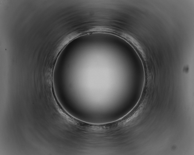 X0000100761049200806191203