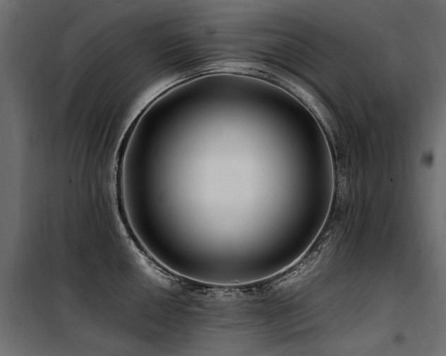 X0000100761050200806191203