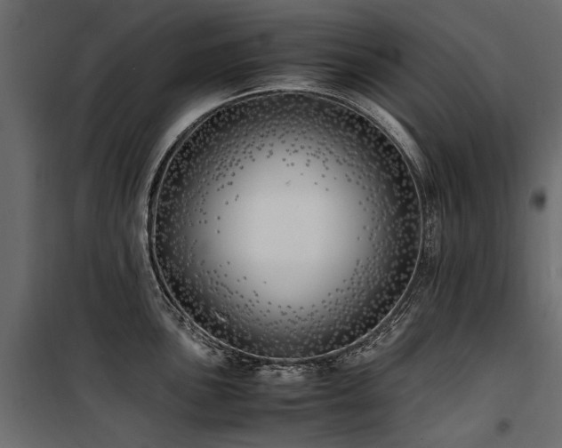 X0000100761051200806191203