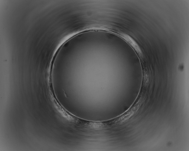 X0000100761052200806191203