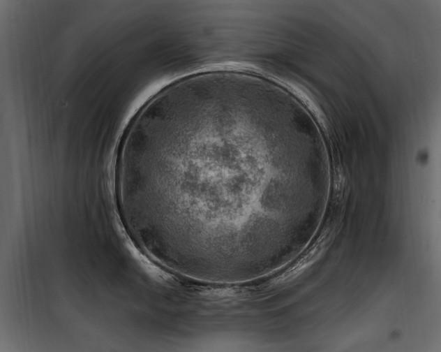 X0000100761054200806191203