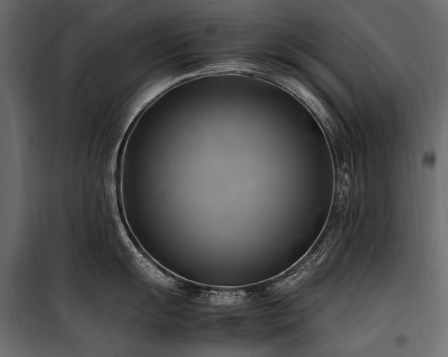 X0000100761055200806191203