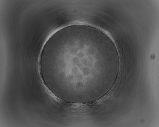 X0000100761056200806191203