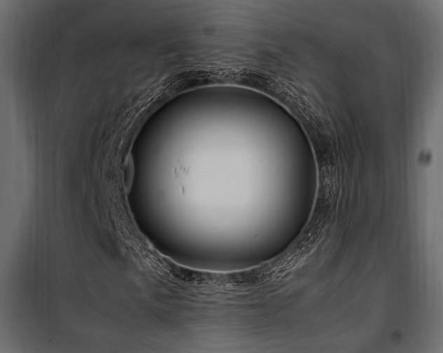 X0000100761057200806191202