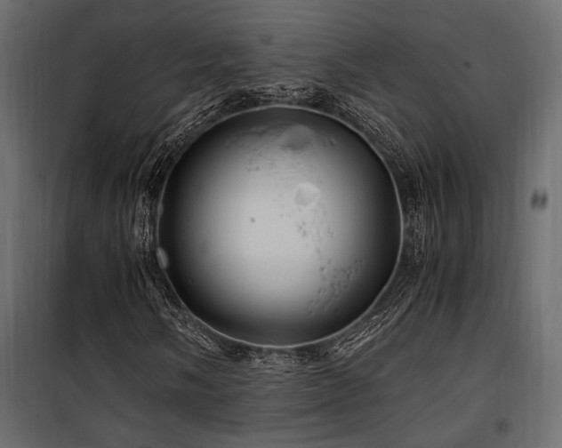 X0000100761058200806191202