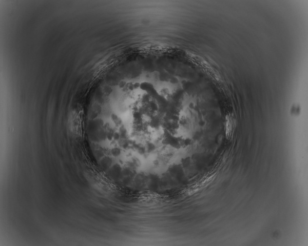 X0000100761059200806191202