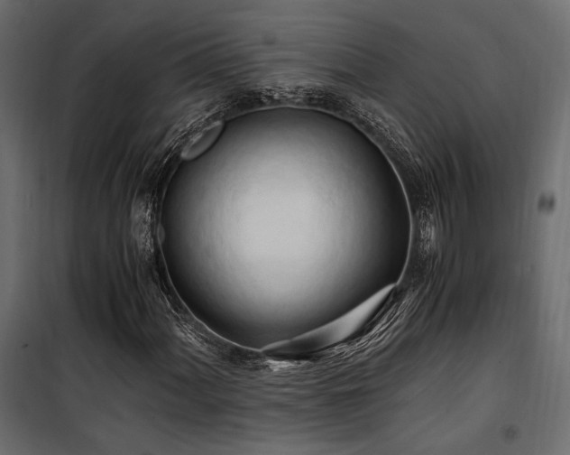 X0000100761060200806191202