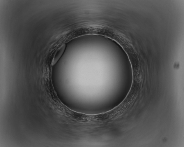 X0000100761061200806191202