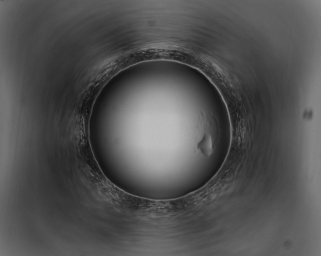 X0000100761062200806191202