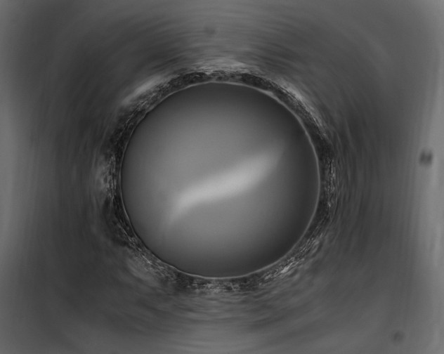 X0000100761063200806191202