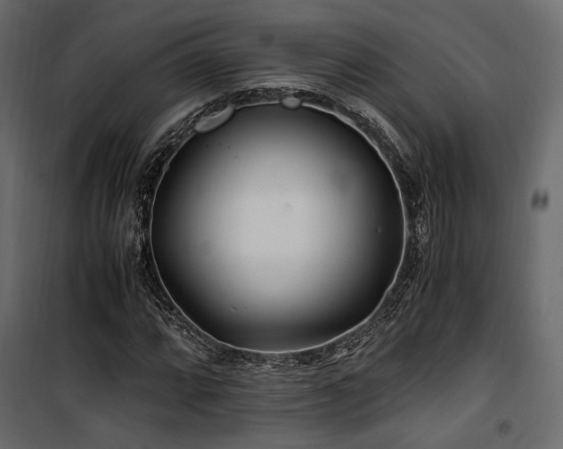 X0000100761064200806191202