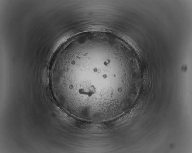 X0000100761067200806191202