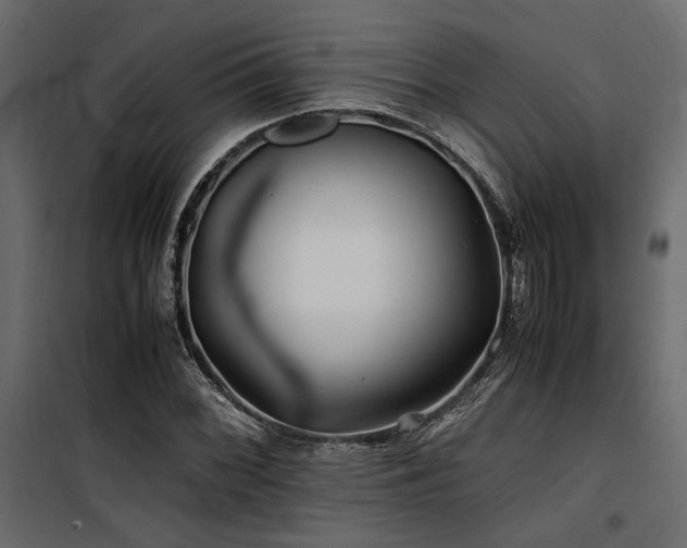 X0000100761068200806191202