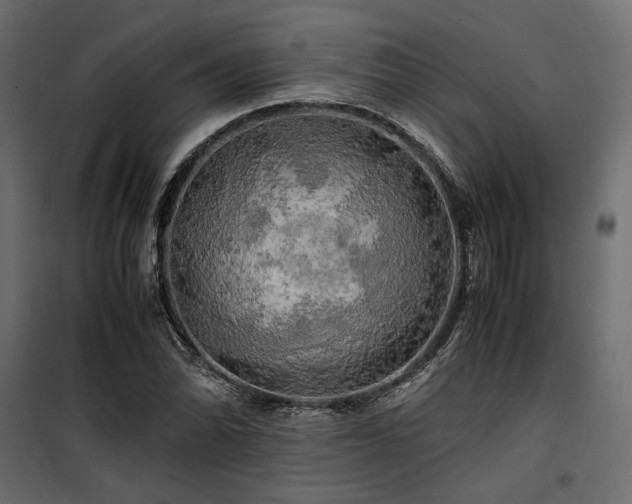 X0000100761070200806191202