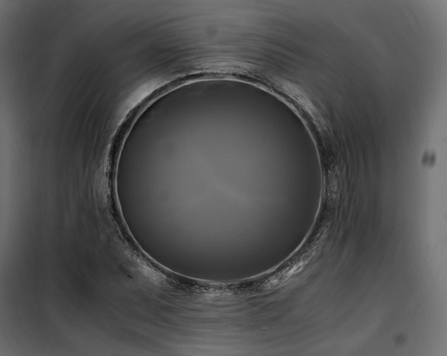 X0000100761071200806191202