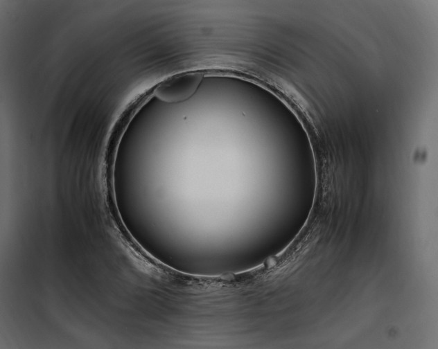 X0000100761072200806191202