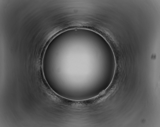 X0000100761073200806191202