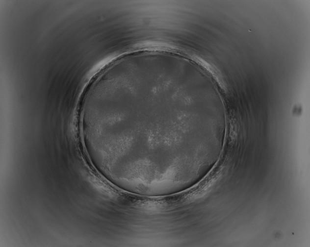 X0000100761074200806191202