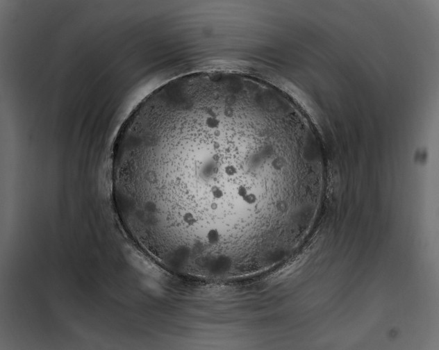 X0000100761075200806191202