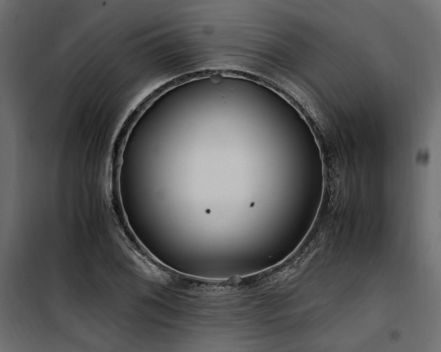 X0000100761076200806191202