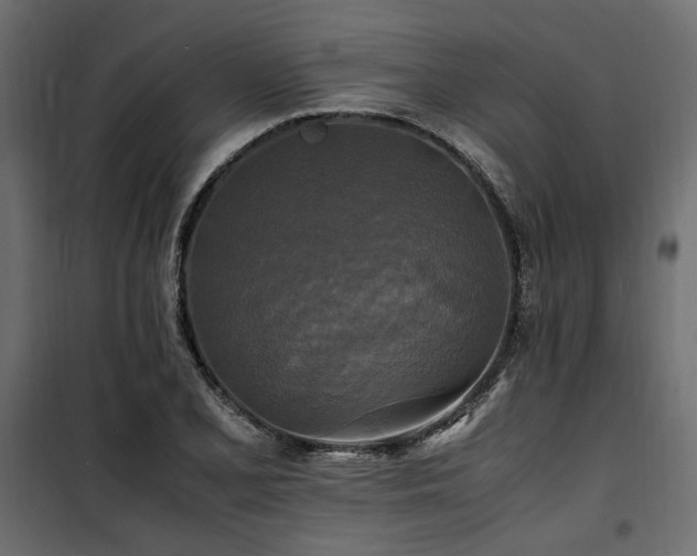 X0000100761077200806191202