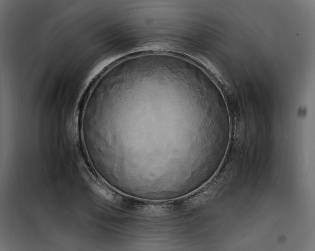 X0000100761078200806191202