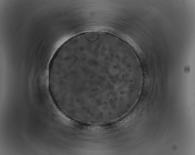 X0000100761079200806191202