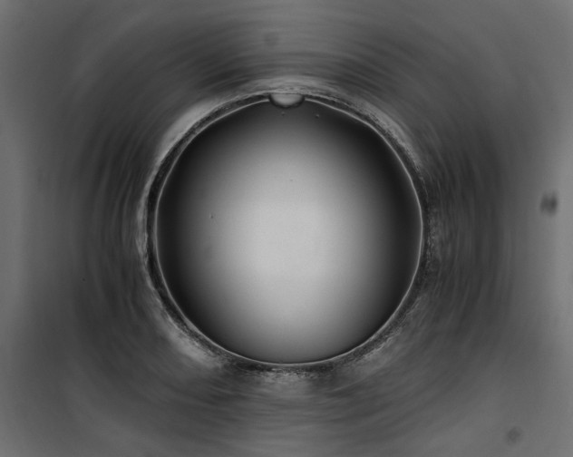 X0000100761082200806191202