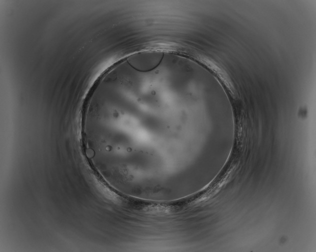 X0000100761083200806191202