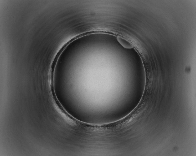 X0000100761084200806191202