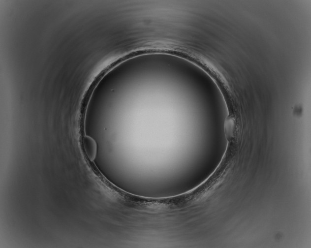 X0000100761085200806191202