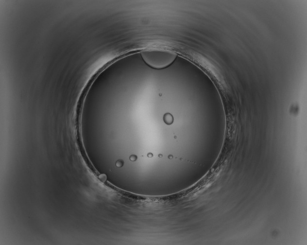 X0000100761087200806191202