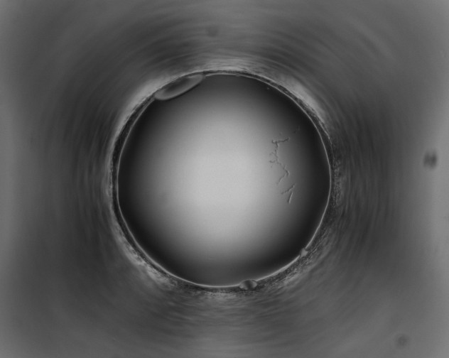 X0000100761088200806191202