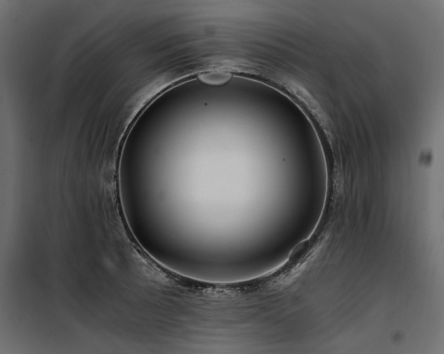 X0000100761089200806191202