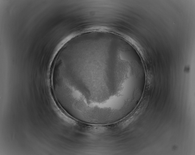 X0000100761090200806191202