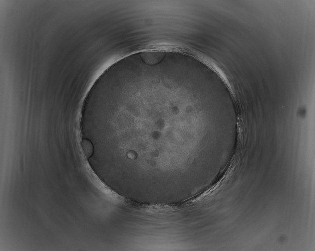 X0000100761091200806191202