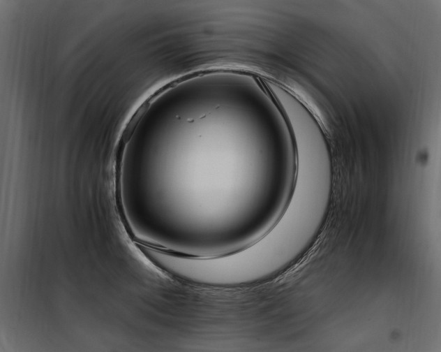 X0000100761092200806191202