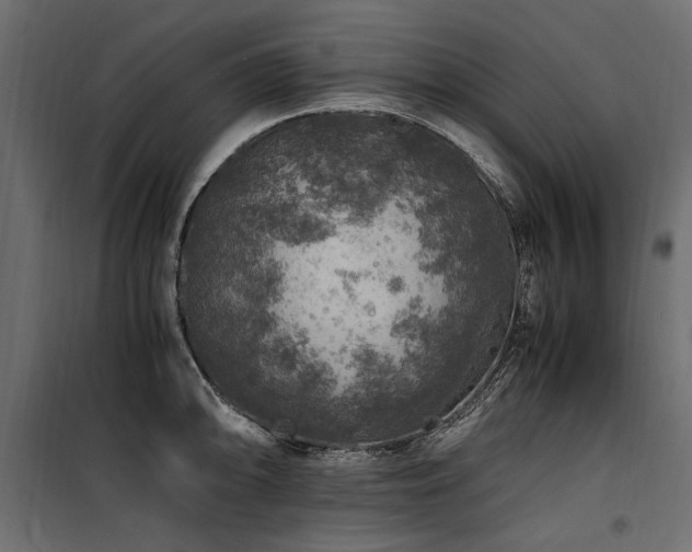 X0000100761094200806191202