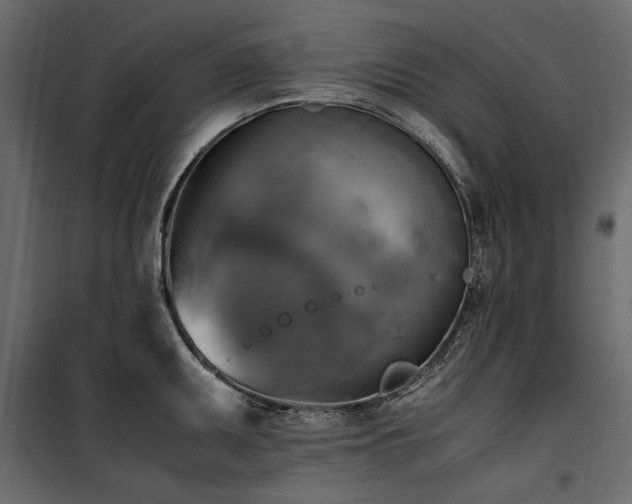 X0000100761095200806191201