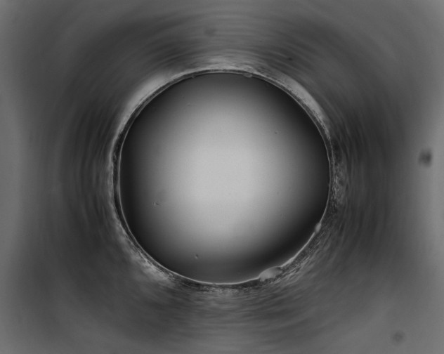 X0000100761096200806191201