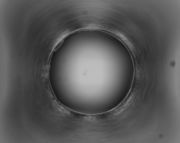 X0000100761097200806191201